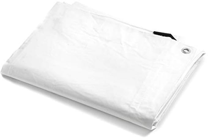 Waterdichte PVC Afdekzeil 260 g/m² met Ogen - Multifunctioneel Dekzeil 2 x 3 m