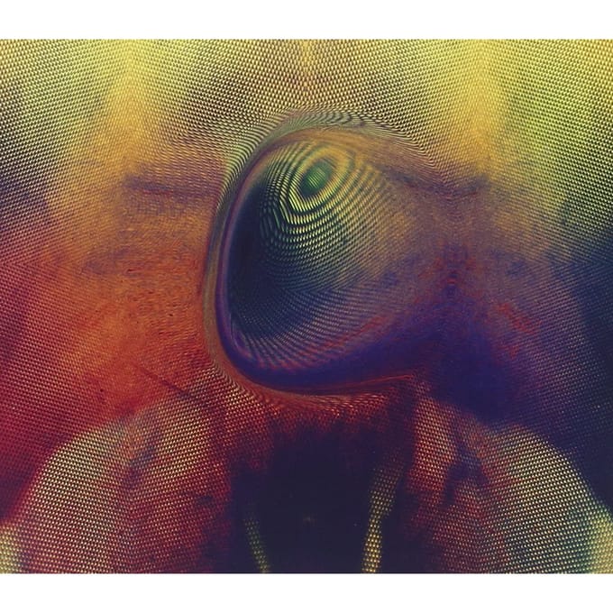 Young Magic - Melt (CD)