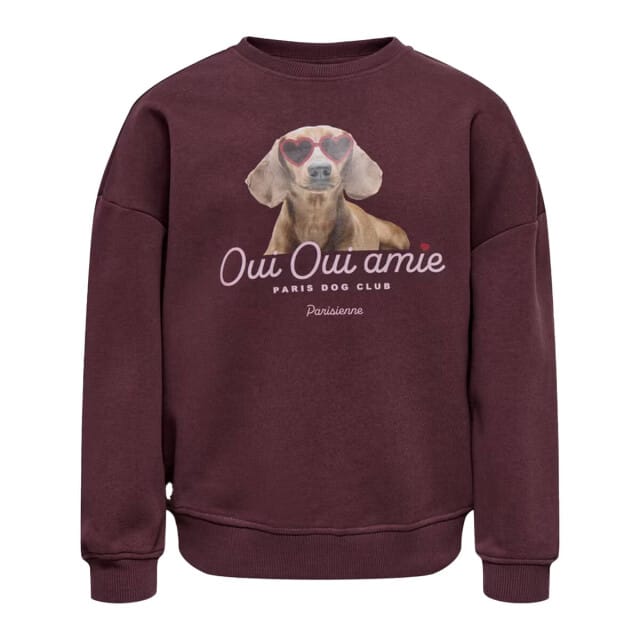 ONLY - KOGBILA L/S OVZ PRINT O-NECK SWT NOOS Dames Trui