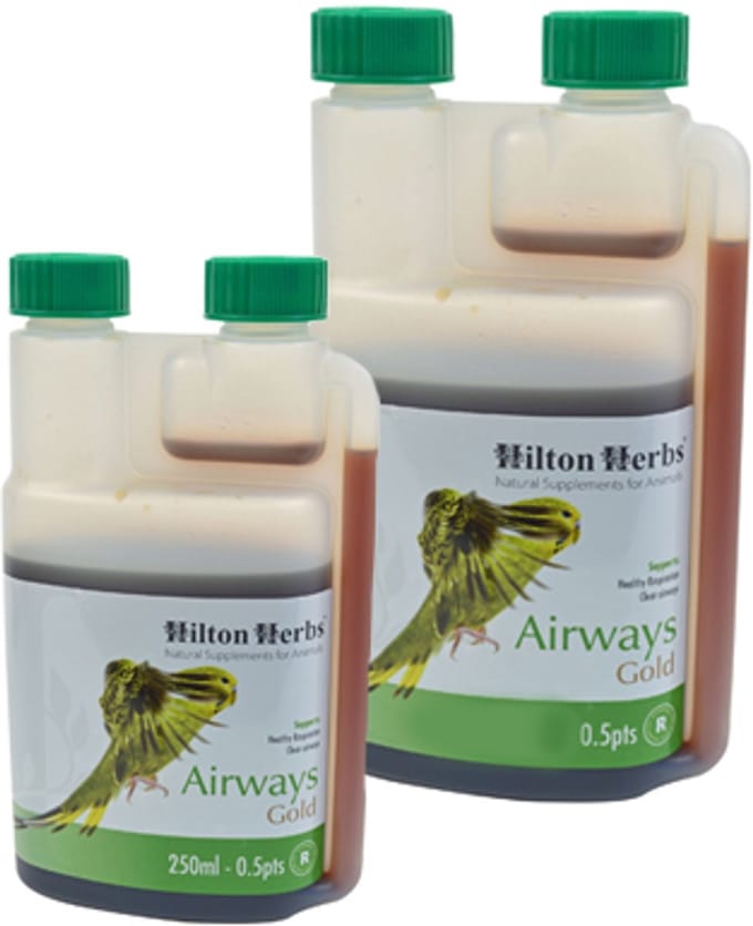 Hilton Herbs Airways Gold for Birds - 250 ml