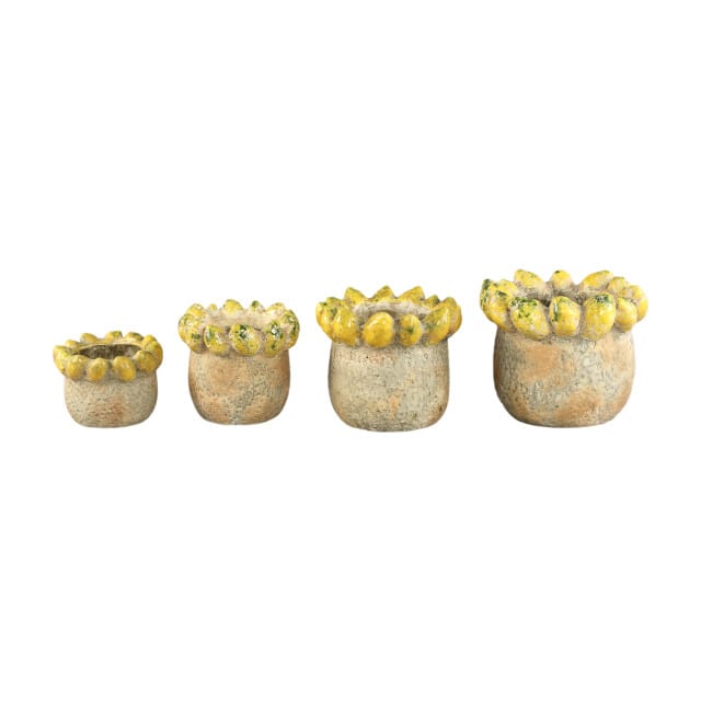 PTMD - Pot Fruitsy - Geel - 23.5x23.5x20cm