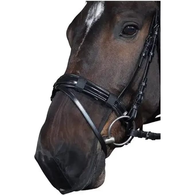 Neusbeschermer HorseGuard
