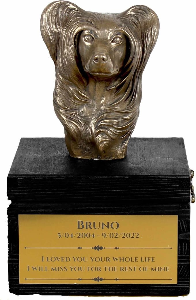 Urn hond met gravure en sculptuur van Chinese Naakthond Puff, handgemaakt
