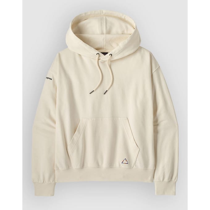 Patagonia Fitz Roy Massif Daily Hoodie wit