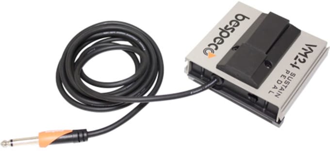 MUSIC STORE VM 24 voetschakelaar 2m kabel, umschakelbaar - Voetcontroller