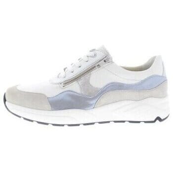 Sneakers Solidus Kea