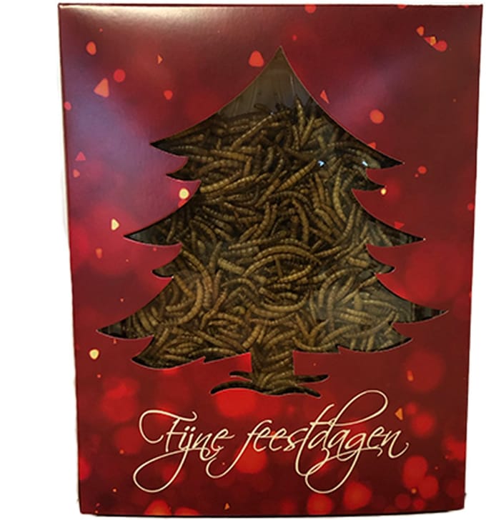 Kerst Doosje met Meelwormen voor Kippen Het Kerstkado