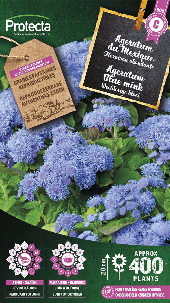 Protecta Bloemen zaden: Agertum blue mink | Mexicaantje