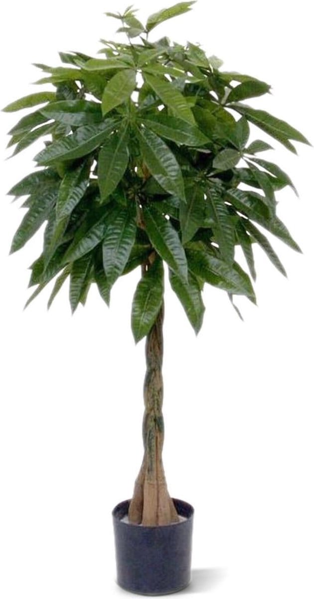 Pachira deluxe kunstplant 120cm