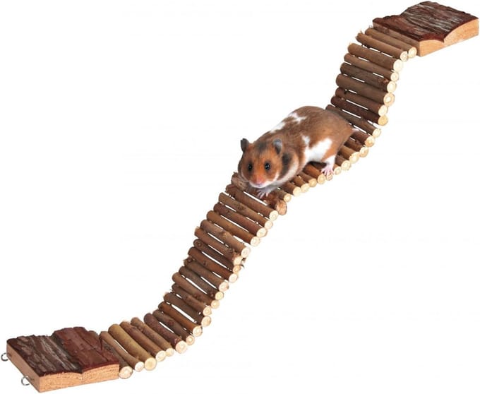 Natuurlijke Leefladder 7 × 55 cm voor Huisdieren
