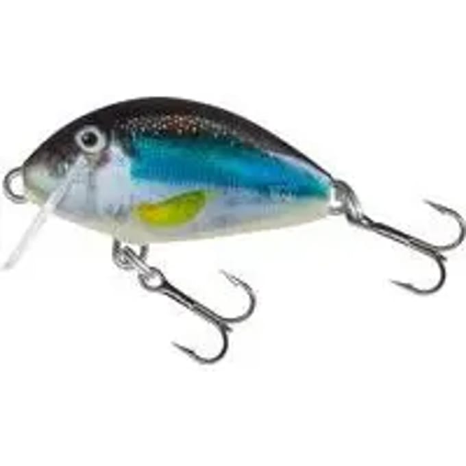 Lok Salmo Tiny Sinking 2 g