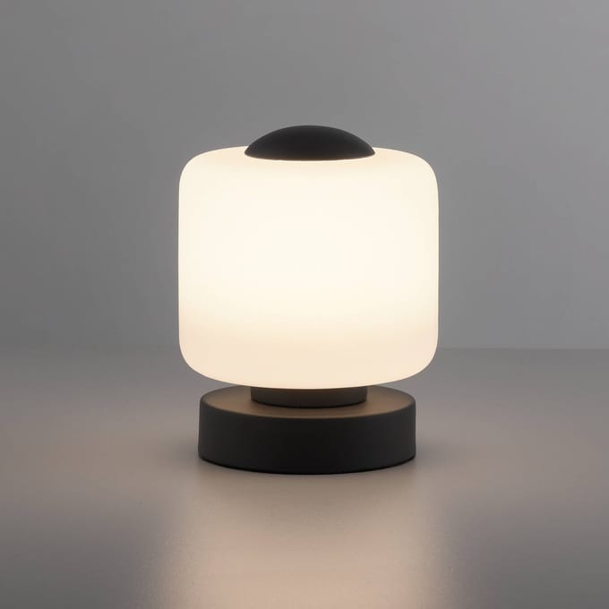 Paul Neuhaus LED tafellamp Bota, antraciet, glas, dimbaar