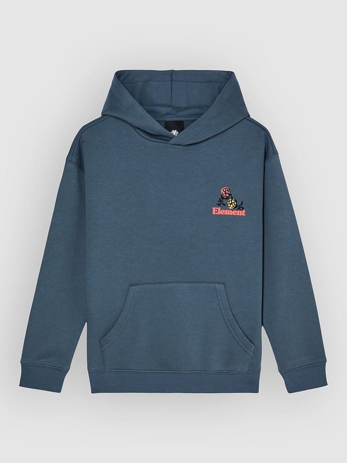 Element Hands Full Hoodie Blauw 14 Years Jongen