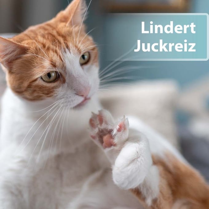 Felisept® Huidverzorgingsspray voor katten 250 Spray