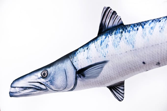 Gaby Het Barracuda Reuzenkussen Wit