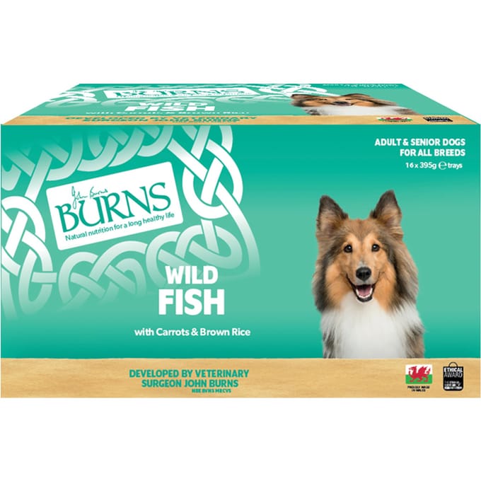 Burns natvoer voor honden 16 x 395 g - Vis