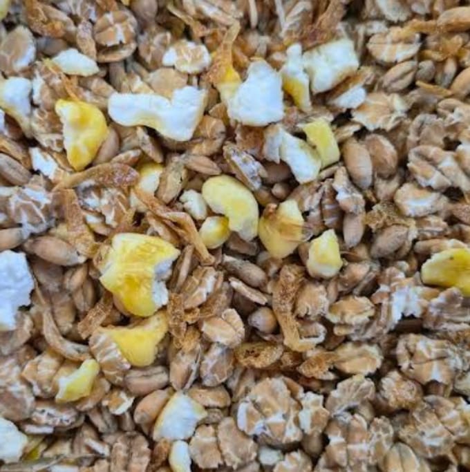 Oswalt - Vogelmuesli met garnalen - 1,5kg - Buitenvogelvoer