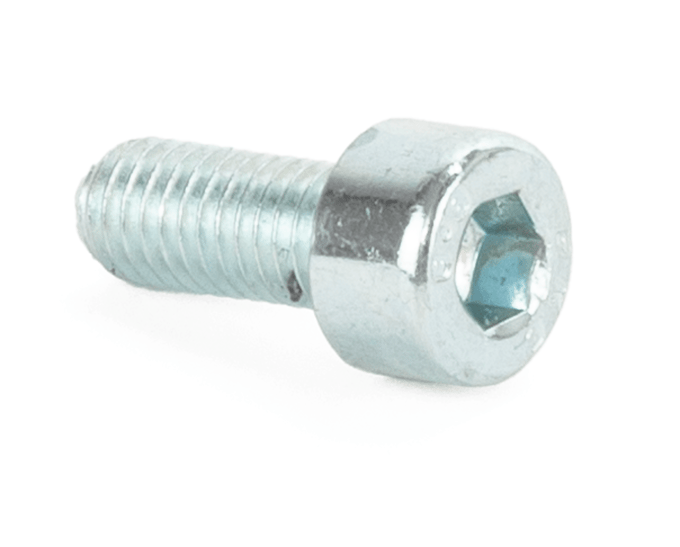 Screw