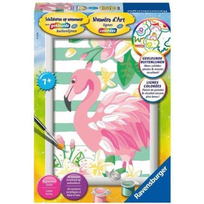 Schilderen Op Nummer - Flamingo