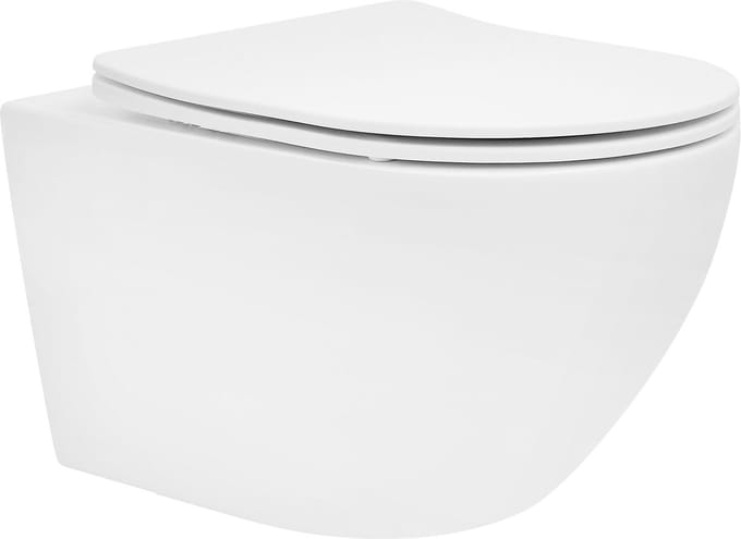 ECD Germany Wandcloset keramisch wit mat met nano-coating, wandcloset lang 52 cm, toilet met afneembare Duroplast closetzitting met soft-close mechanisme, wastafelwc met lotus-effect