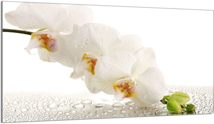 TMK ArtDeko - Orchidee Snijplank - Glas - 90x52 cm