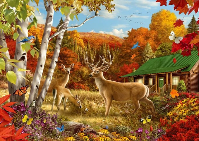 Enjoy Puzzle legpuzzel Somewhere in a Field - 1000 stukjes puzzelplezier.