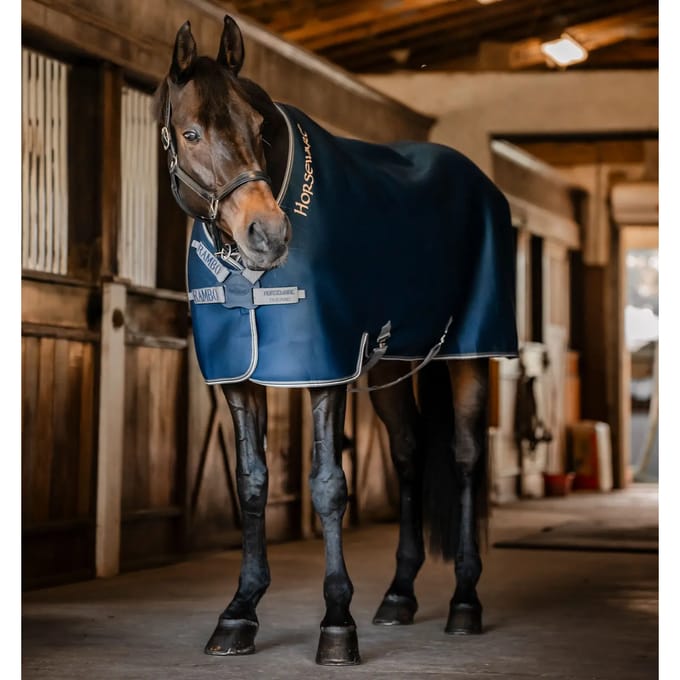 Outdoor paardendeken Horseware Rambo Airmax