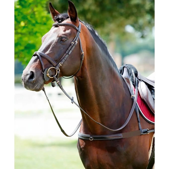 Elastische paardenkraag met afneembare hals Tattini
