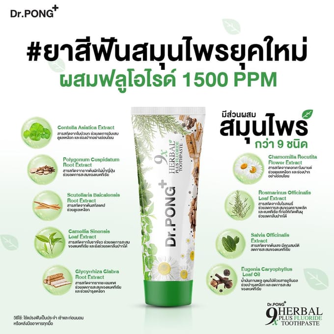 Dr.PONG+ 9x Dentifrice au Fluor Herbal Plus 100 g. x 1 / 3 pièces 100 g. x 3 pcs beige