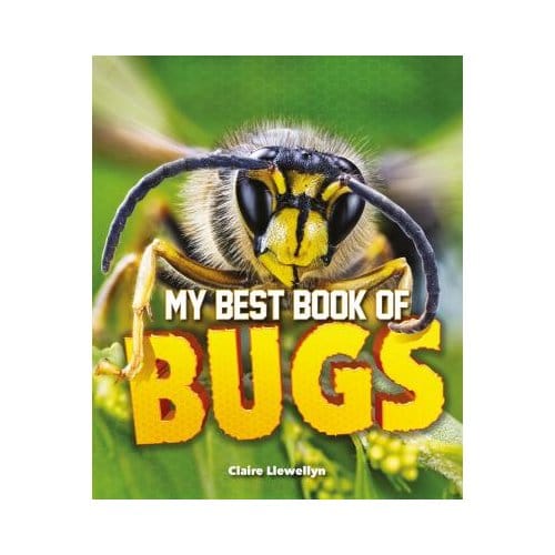 My Best Book Of Bugs - CLAIRE LLEWELLYN