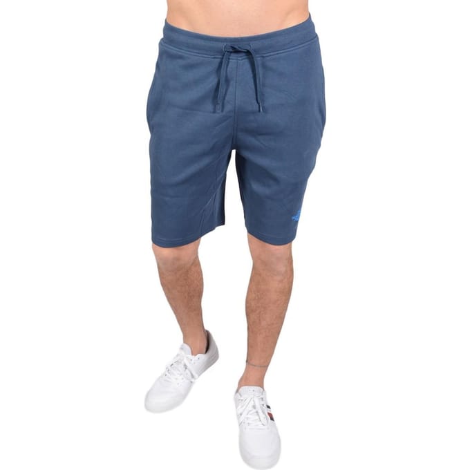 The North Face Heren Graphic Short Blauw