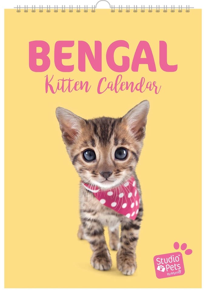 Studio Pets® verjaardag kalender A4 – Bengaal katten maandplanner / kalender