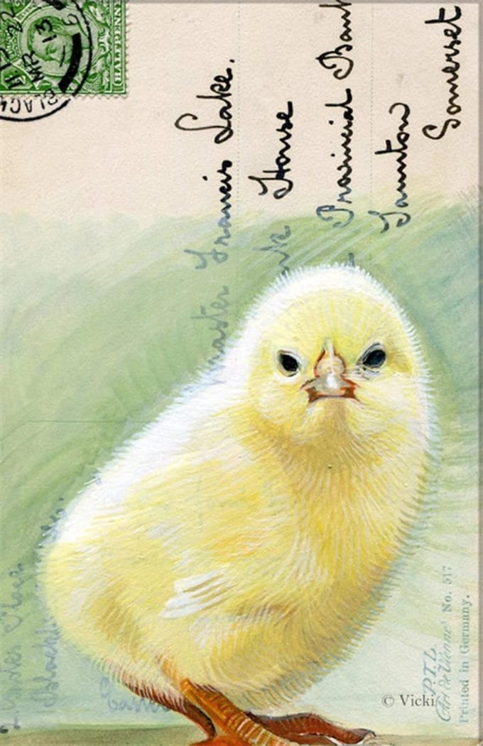 Dubbele kaart met env. Kuiken 11,5x17,5cm