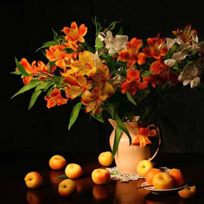 Geurolie - Abrikoos & Freesia - 500 ml