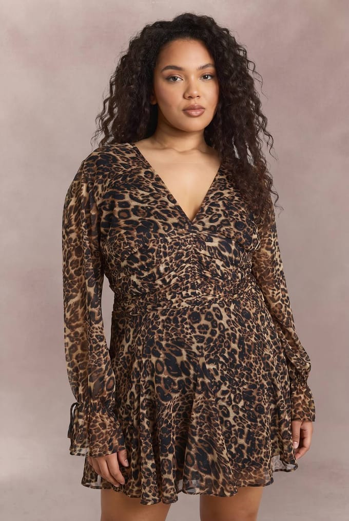 boohoo Dames Plus Leopard Getailleerde Skater Jurk | Luipaardprint | Maat: 44