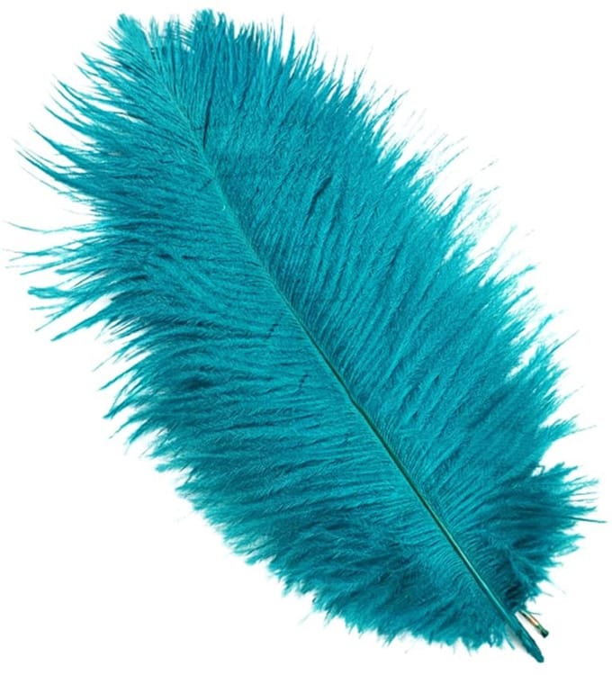Dailygoods- Struisvogelveren 30-35 cm - 10 Stuks