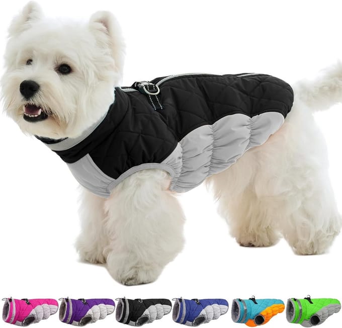 Warme Hondenjas met Harnas - Waterdicht & Winddicht Wintervest voor Honden