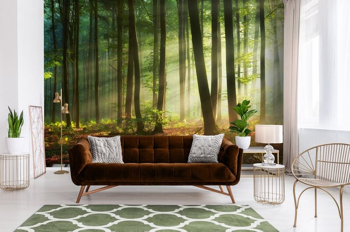 Fotobehang - Bos - Bomen - Natuur - Vliesbehang - (368 x 254 cm)