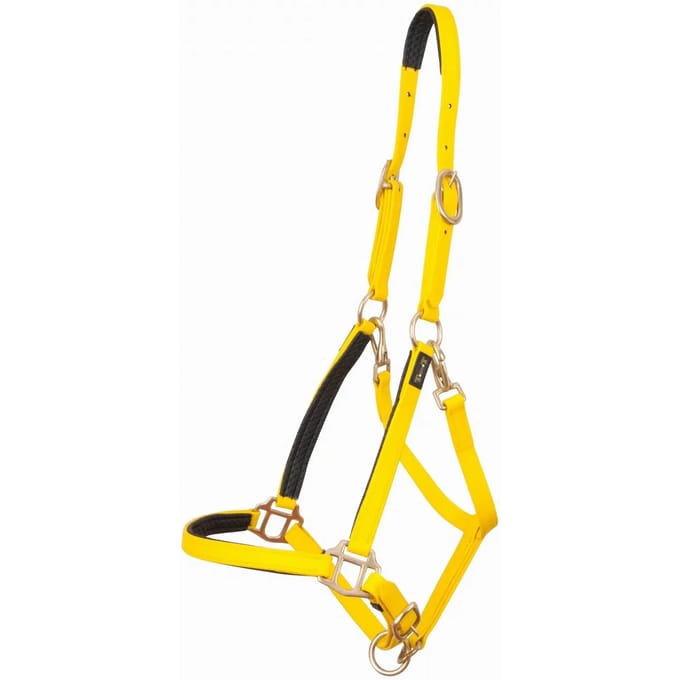 Halster voor paarden T de T Biotack®