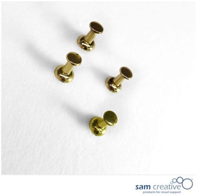 Sam Creative - Prikbord kurk - Punaise - Goud - 50 stuks