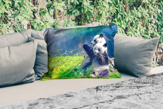 Buitenkussens - Panda - Bamboe - Gras - Dieren - 60x40 cm - Weerbestendig