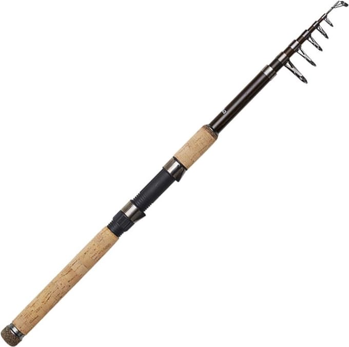 Dam Backbone Ii Tele 80 Karperhengel Goud 3.00 m / 30-80 g