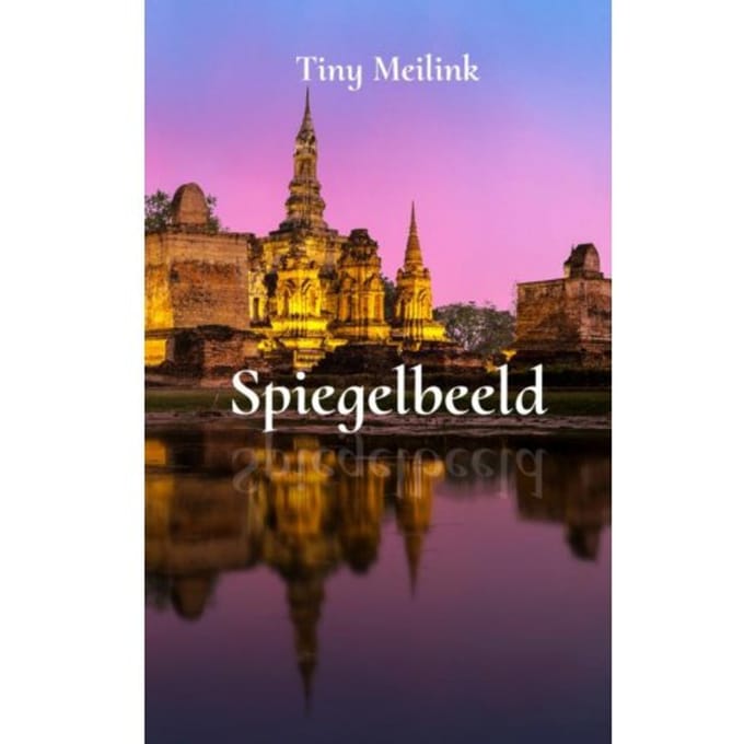 Spiegelbeeld - Tiny Meilink