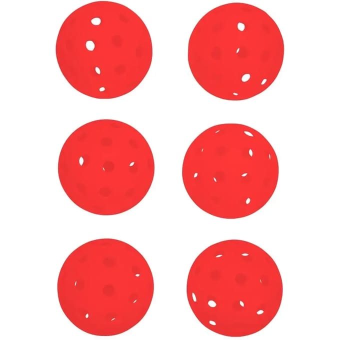 Buiten pickleball bal Pure4Fun (x6)