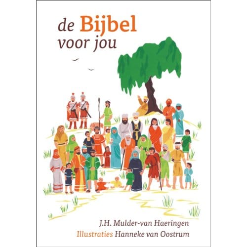 De Bijbel Voor Jou - J.H. Mulder-van Haeringen