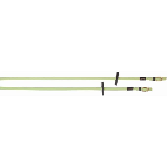 Gladde paardenteugels T de T Biotack®
