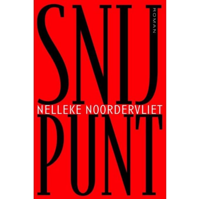 Snijpunt - Nelleke Noordervliet