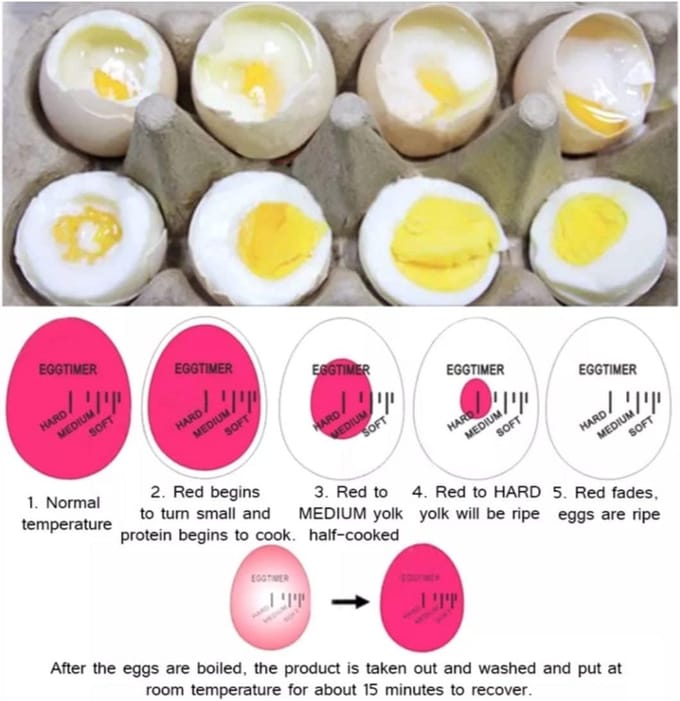 Eierkoker met Timer - Electrisch - Geschikt voor Eieren - Praktisch