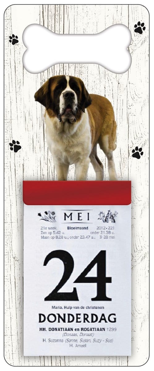 Scheurkalender 2027 Hond: Sint Bernard