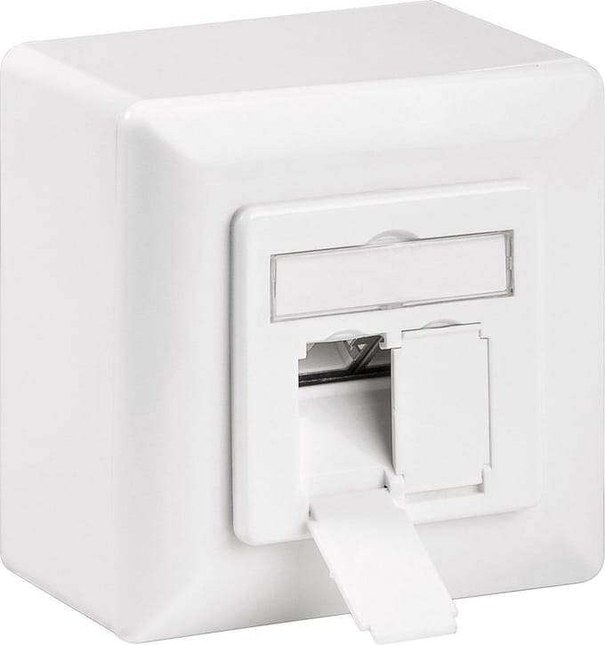 Goobay CAT 6a netwerkdoos signaalwit met twee RJ45-aansluitingen en opbouwframe